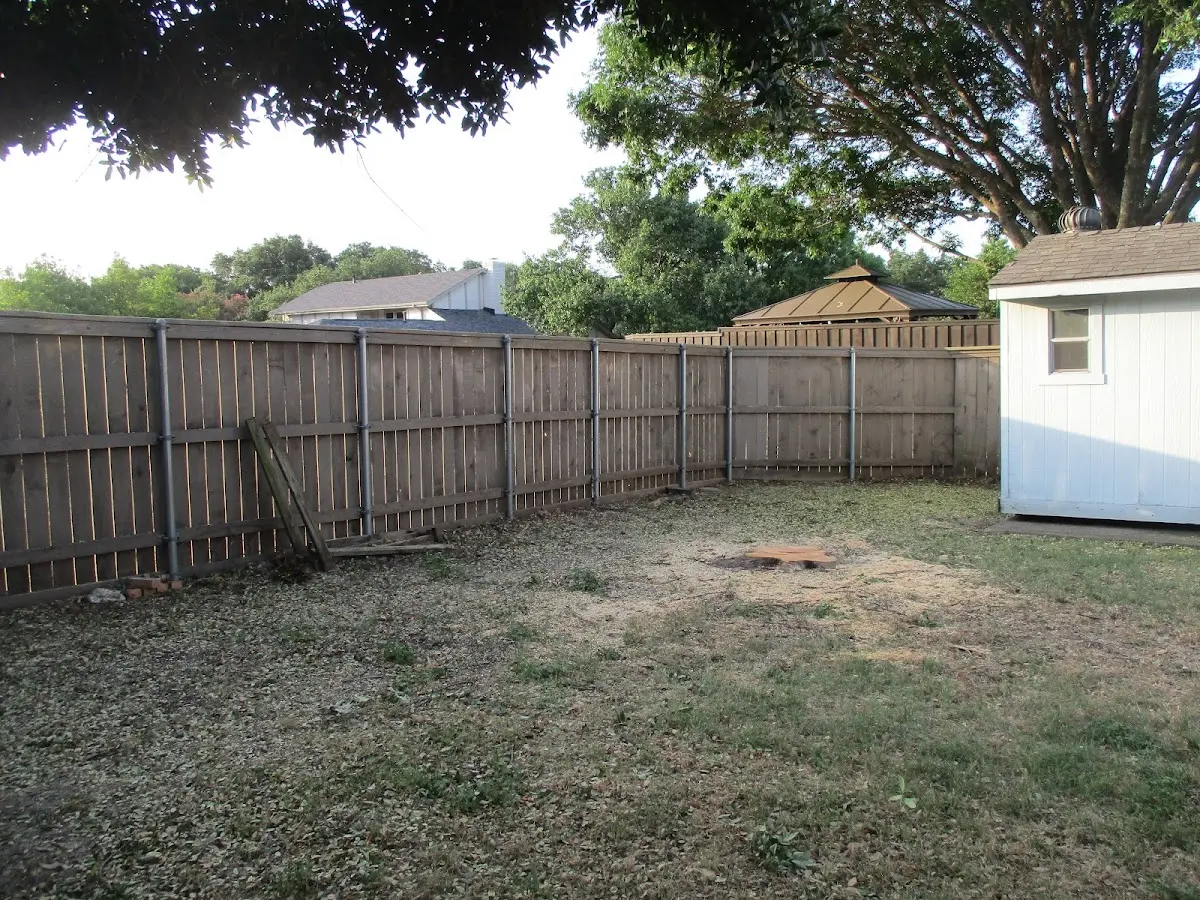 Cleared yard after professional tree removal in Manahawkin