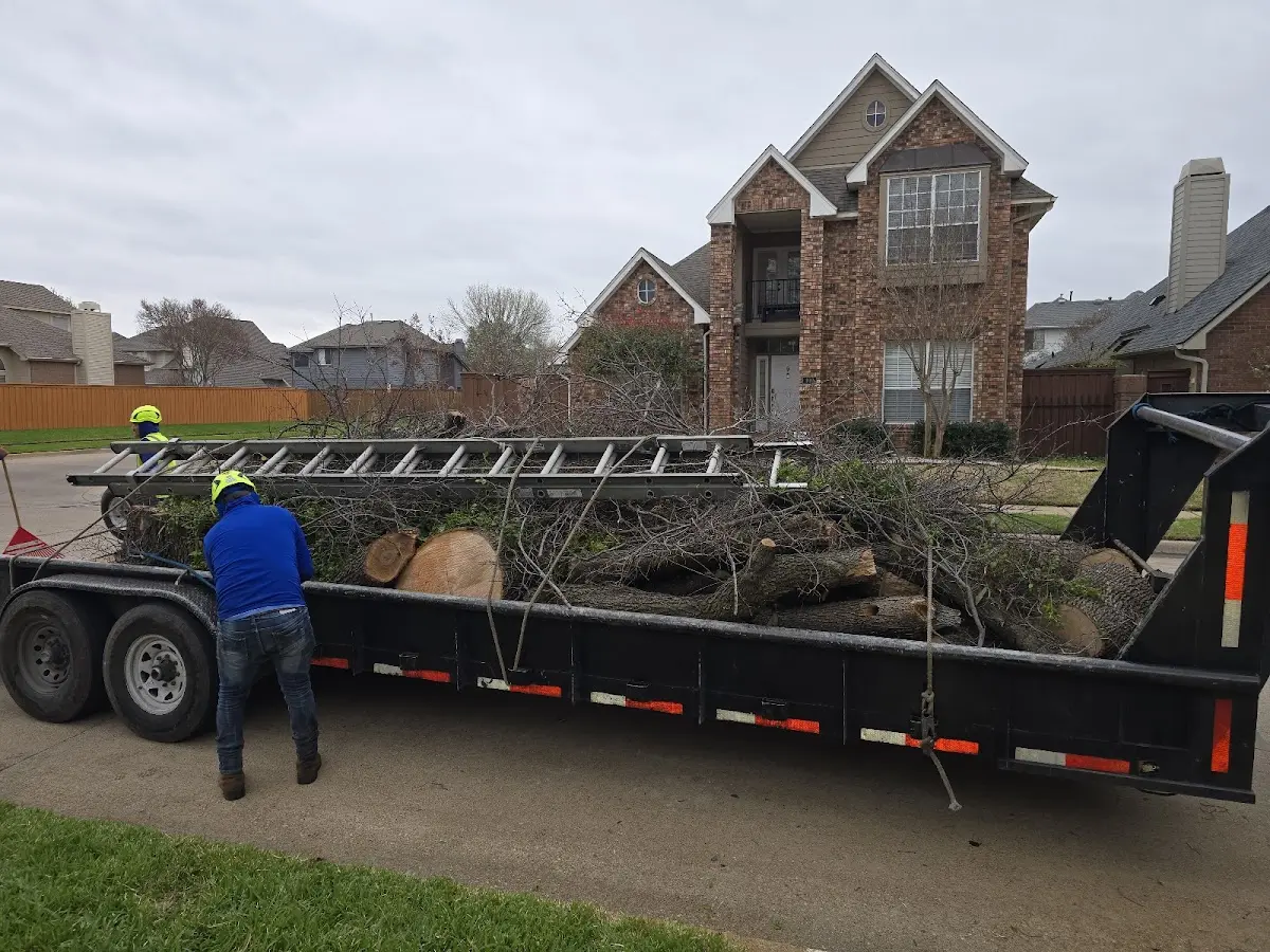 Expert Tree Fertilization with proper safety equipment in Manahawkin